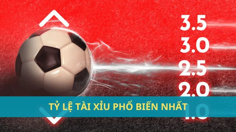 Kèo tài xỉu là gì